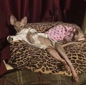 Meet your Posher, Chloee